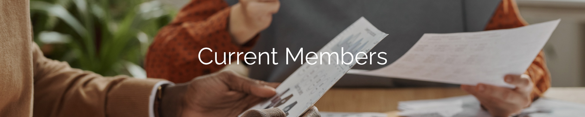 Current Members